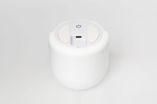 Asalite LED Éjjeli Lámpa Pingvin 1W